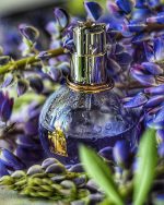 ادکلن اکلت زنانه اصل(لانوین اکلت) ادوپرفیوم 100 میل | Lanvin Eclat d´Arpege EDP 100 ML